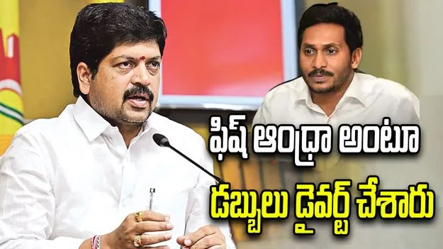 ఫిష్ ఆంధ్రా అంటూ డబ్బును డైవర్ట్ చేశారు: మంత్రి కొల్లు రవీంద్ర 