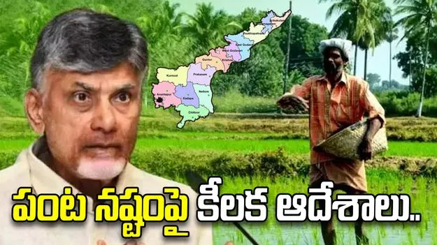 పూర్తిస్థాయిలో పంట నష్టాన్ని లెక్కించాలి.. అధికారులకు సీఎం కీలక ఆదేశాలు