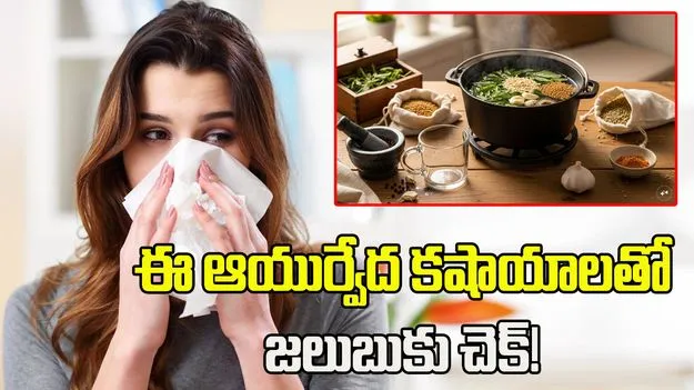 ఈ ఆయుర్వేద కషాయాలతో వర్షాకాలంలో జలుబుకు చెక్!