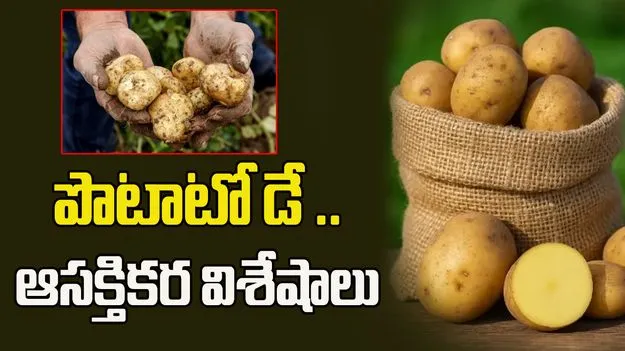 అంతర్జాతీయ బంగాళాదుంప దినోత్సవం.. ఈ కూరగాయ వెనుక ఉన్న ఆసక్తికర చరిత్ర తెలుసా?