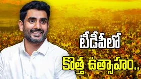 టీడీపీ కమిటీల ప్రకటన.. వర్కింగ్ ప్రెసిడెంట్‌గా నారా లోకేశ్ నియామకం