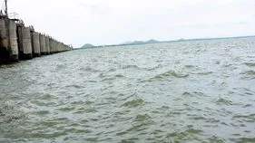 నేడు జూరాలను తాకనున్న కృష్ణమ్మ..!