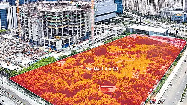 మాకు అమ్మిన భూమిని ఎలా వేలం వేస్తారు?