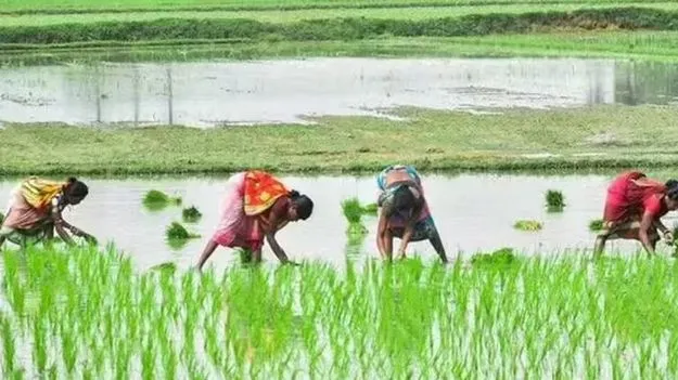 ఖరీఫ్‌ సన్నద్ధతపై నేడు మంత్రుల సమీక్ష 