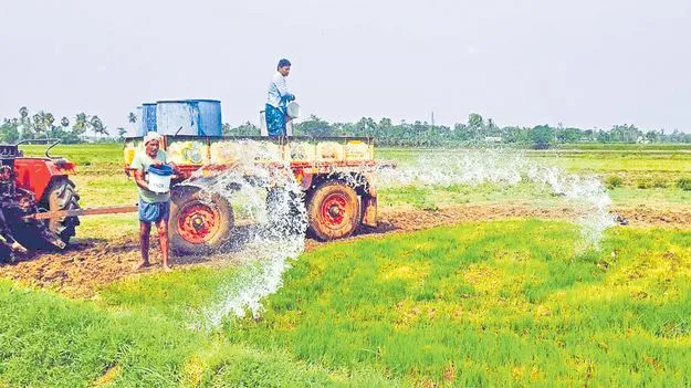 నీరు తెచ్చి... నారుకు పోసి...!