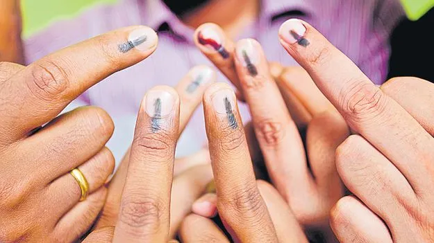 హైదరాబాద్‌లో 30 శాతం ఓట్లు హుళక్కే!