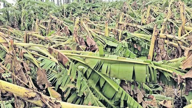 పెనుగాలుల బీభత్సం