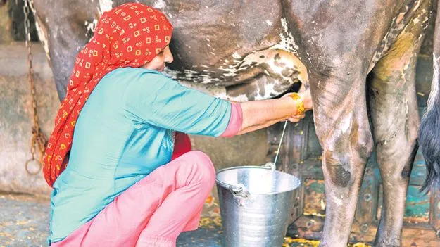 రోగాల‘పాలు’