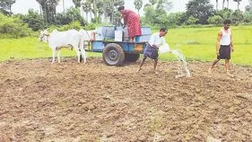 చుక్కచుక్కా పోసి... నారు మడిని తడిపి..!
