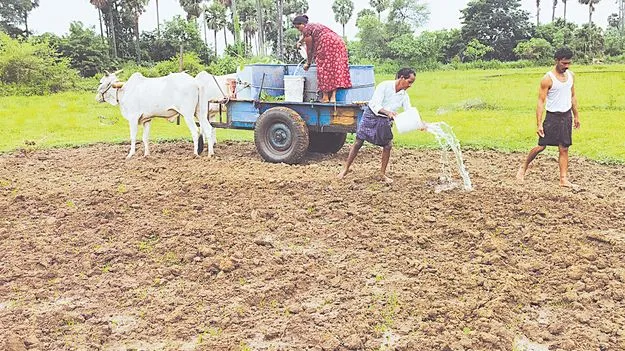 చుక్కచుక్కా పోసి... నారు మడిని తడిపి..!