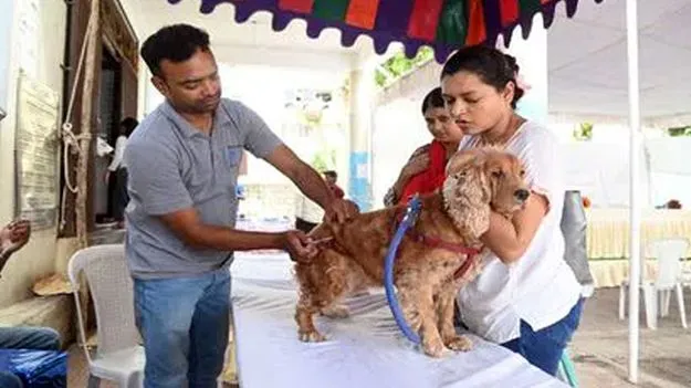 రేపు ప్రపంచ జూనోసిస్‌ డే