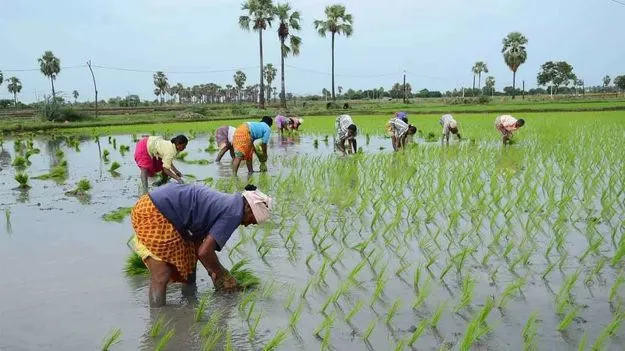 పెండింగ్‌లో 7,606 రైతు బీమా క్లెయిమ్‌లు