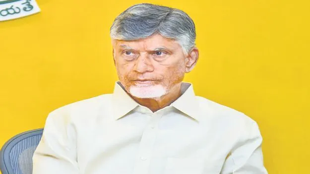 ప్రభుత్వ ప్రతినిధులుగా ప్రవాసాంధ్రులు