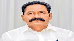 బొల్లా నకిలీలలు