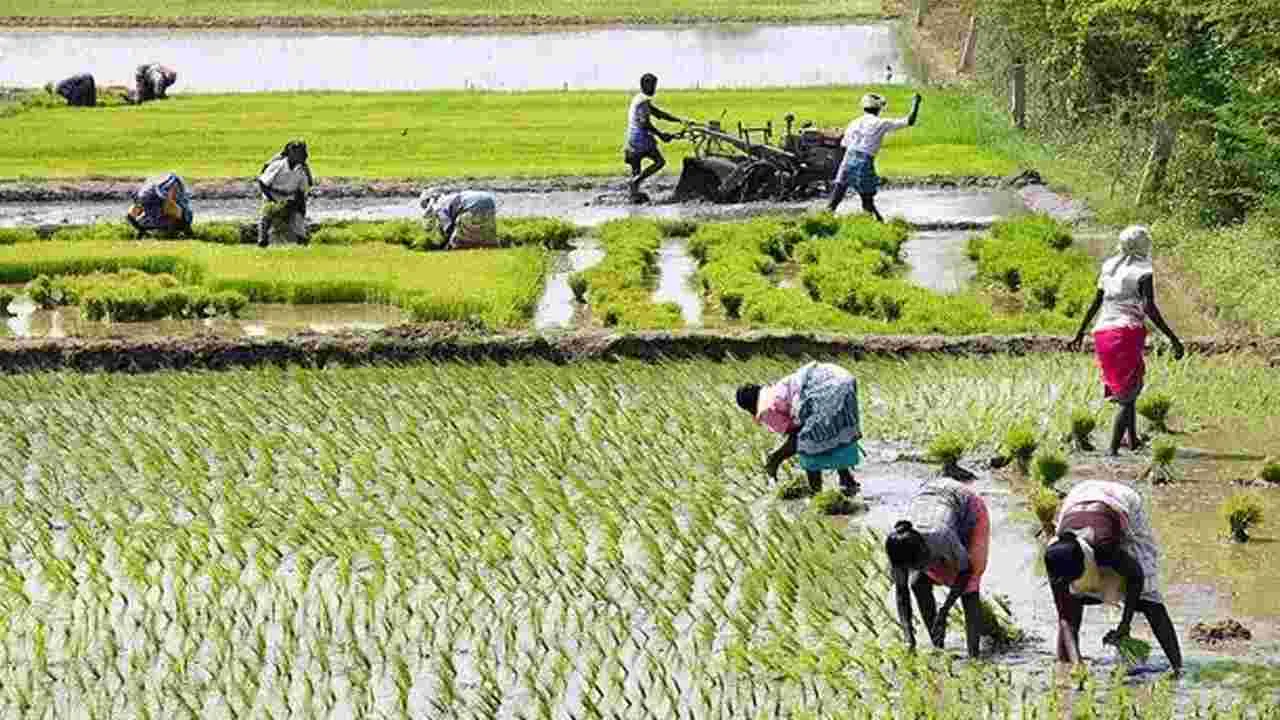 ఖరీఫ్‌కు సమగ్ర కార్యాచరణ ప్రణాళిక