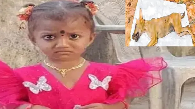 జానూ.. ఎక్కడున్నావ్‌!