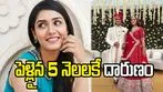పెళ్లైన 5 నెలలకే నవ వధువు అనుమానాస్పద మృతి