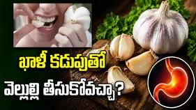 ఉదయం ఖాళీ కడుపుతో రెండు వెల్లుల్లి రెబ్బలు తినడం మంచిదేనా?