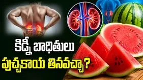కిడ్నీ బాధితులు పుచ్చకాయ తినడం మంచిదేనా?