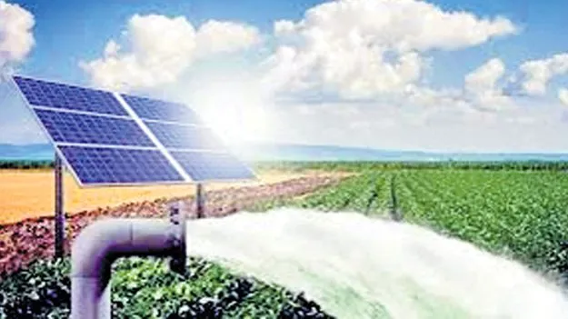 ‘జలసిరి’ కావాలి! 