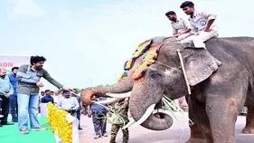 కుంకీలకు పవన్‌ స్వాగతం