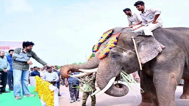 కుంకీలకు పవన్‌ స్వాగతం