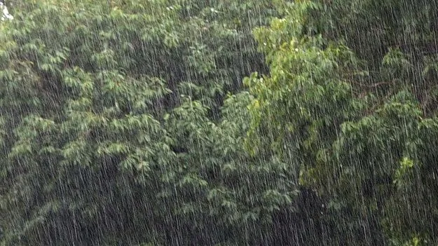 ‘నైరుతి’ మందగమనం 