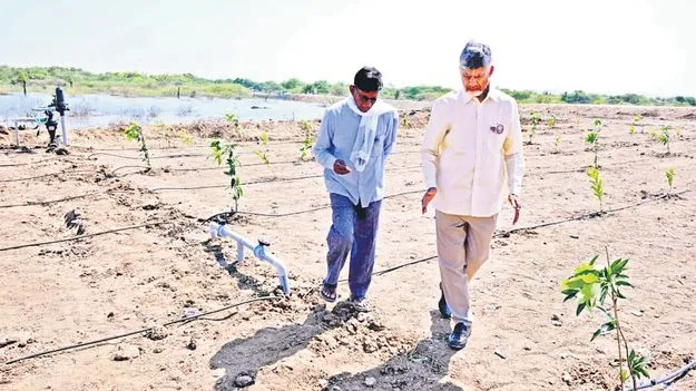 జలధారతో ప్రతి ఎకరాకూ నీరు