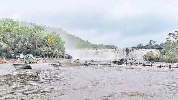 రాష్ట్రంలో పలు చోట్ల వర్షం