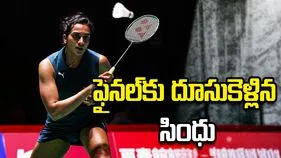జపాన్ ఓపెన్ టోర్నీ: ఫైనల్‌కు దూసుకెళ్లిన పీవీ సింధు