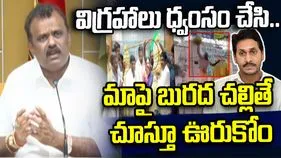 కుట్రలు, అసత్య ప్రచారం.. గొడ్డలి పార్టీ డీఎన్ఏలోనే ఉంది: అనగాని సత్యప్రసాద్