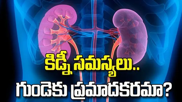 కిడ్నీ సమస్యలు.. గుండెకు ప్రమాదకరమా?