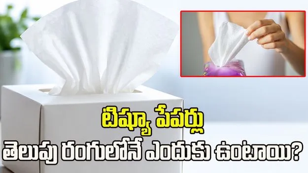 టిష్యూ పేపర్లు తెలుపు రంగులోనే ఎందుకు ఉంటాయో తెలుసా?