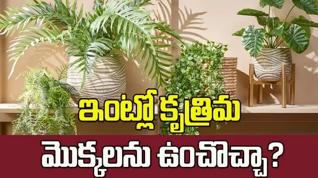 వాస్తు ప్రకారం ఇంట్లో ఆర్టిఫిషియల్ ప్లాంట్స్ ఉంచొచ్చా?