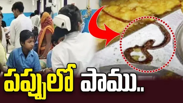 దారుణం.. పిల్లలు తినే భోజనంలో పాము..!
