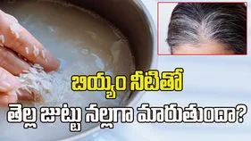 తెల్ల జుట్టుకు బియ్యం నీరు ఉపయోగపడుతుందా?