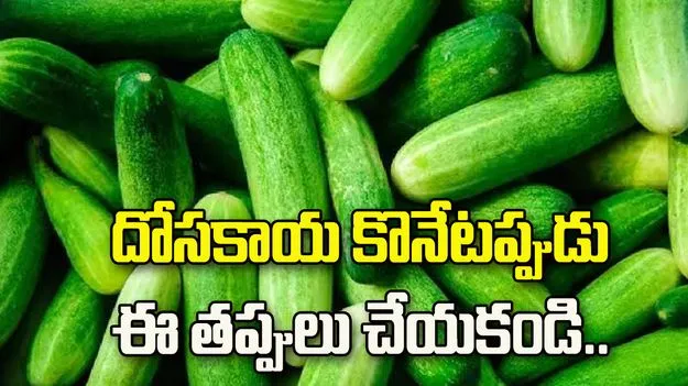 దోసకాయ కొనేటప్పుడు ఈ తప్పులు చేయకండి..