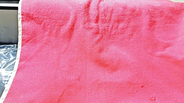 మనవి వద్దు.. తెలంగాణవి ముద్దు