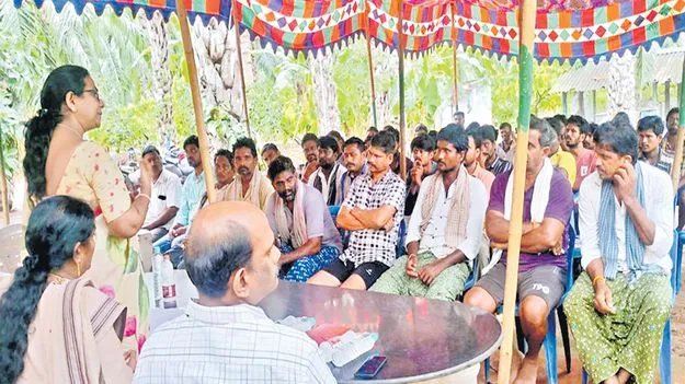 పామాయిల్‌ రైతులు ఎఫ్‌ఆర్‌పీ రాడ్లను వాడాలి