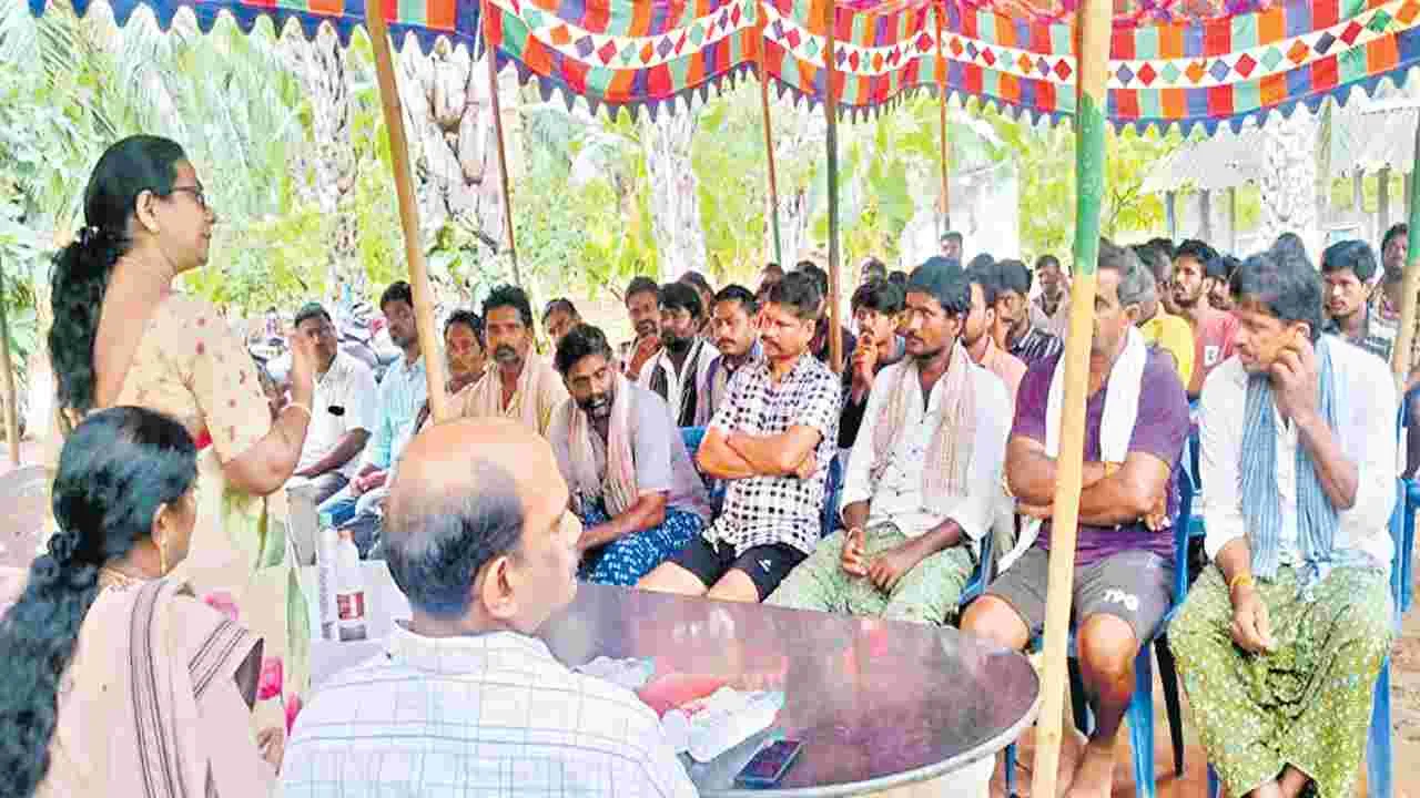 పామాయిల్‌ రైతులు ఎఫ్‌ఆర్‌పీ రాడ్లను వాడాలి