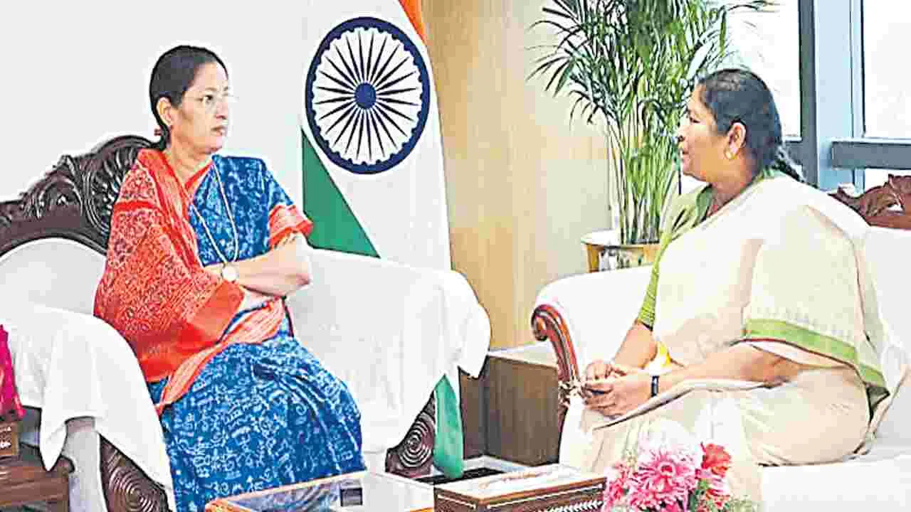 పంచాయతీల పనితీరుకు పన్నుల వసూళ్లే కొలమానం కాకూడదు