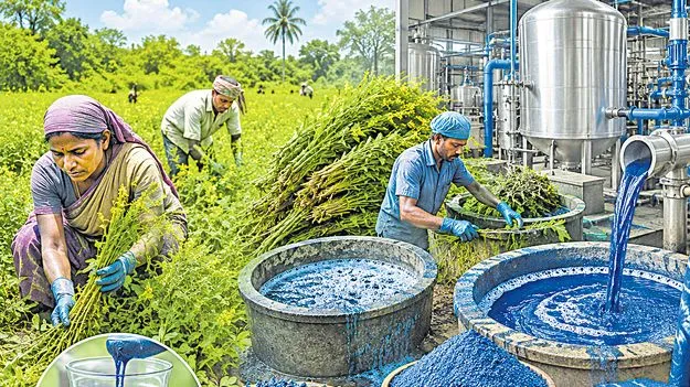 నాచుమొక్క నుంచి సహజ నీలిరంగు