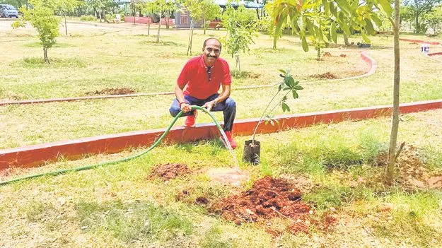 అమరావతిలో 76 కదంబం మొక్కలు 