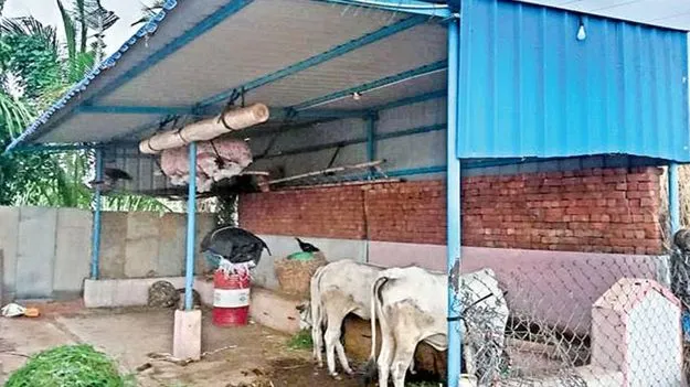 పశువుల షెడ్డులిచ్చారు.. బిల్లులేవీ?