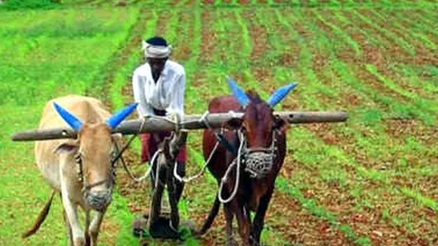ఏఐ డేటాతో ఒక్కో రైతుకు రూ..50 వేలు ఆదా!