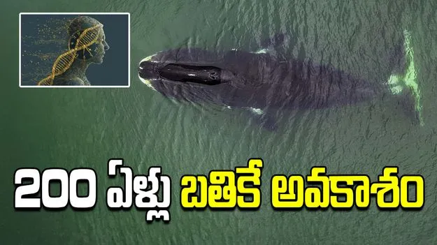 ఆ ప్రొటీన్‌తో మనిషి 200 ఏళ్లు బతికే అవకాశం.. వెలుగులోకి అద్భుత విషయాలు..