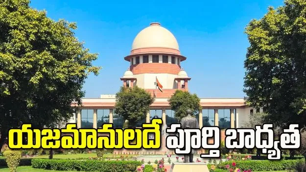 రోడ్లపై తిరిగే జంతువులతో ప్రమాదంపై సుప్రీంకోర్టు సంచలన తీర్పు