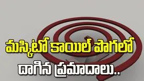 ఇంట్లో దోమల కాయిల్ వాడుతున్నారా? ఈ ఆరోగ్య సమస్యలు రావచ్చు