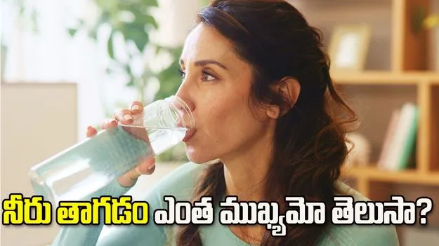 నీరు తక్కువగా తాగితే కిడ్నీపై ఒత్తిడి పడుతుందా?