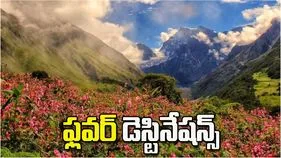 వర్షాకాలంలో చూడాల్సిన టాప్ ఫ్లవర్ వ్యాలీలు ఇవే